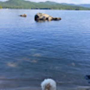 Meet your Posher, Sofie